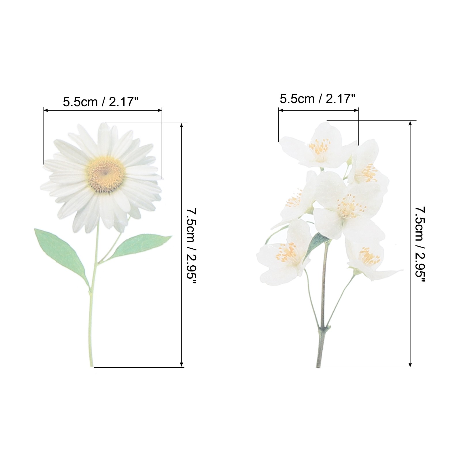 40 Sheet Clear White Daisies Flower PET Sticker Waterproof Flower Decal White