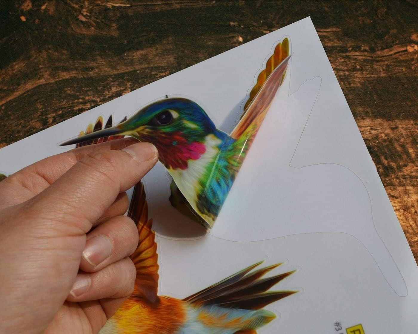 Gorgeous Hummingbird Window Clings – 12 Pack UV Resistant and Easy to Apply