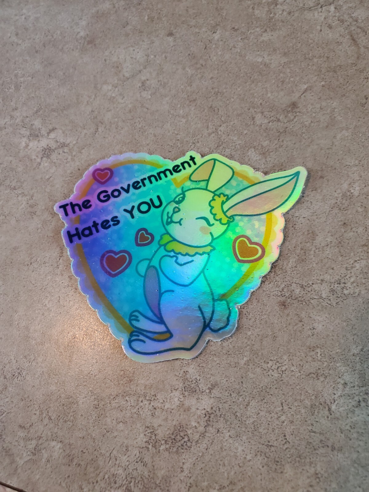 Government Hates You 🤬 Anarchy Sticker 5 Year Warranty Holographic