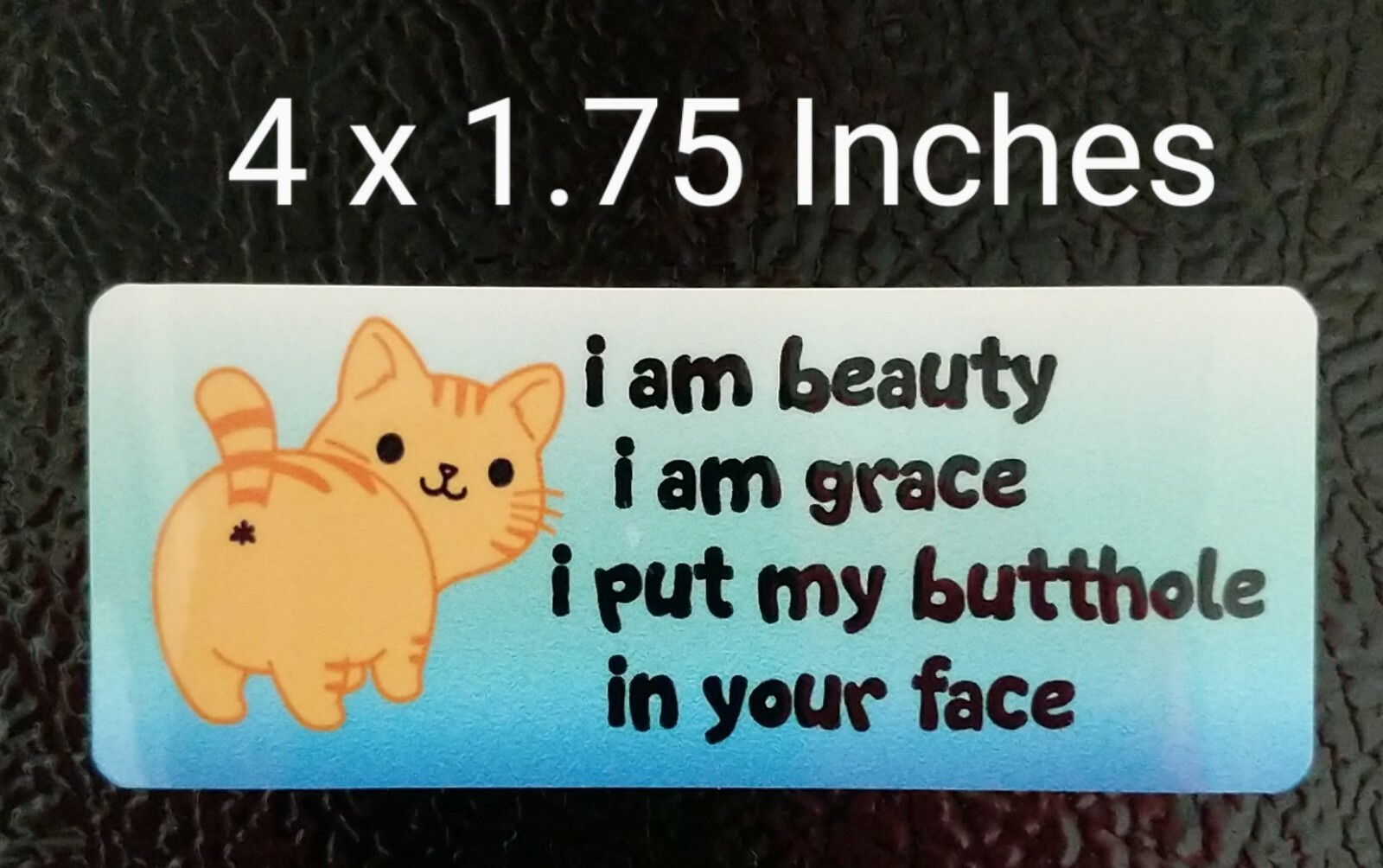 Beauty Grace Butt in Your Face Cat Decal 4 x 1.75" Kitty Humor Pet Lover Sticker