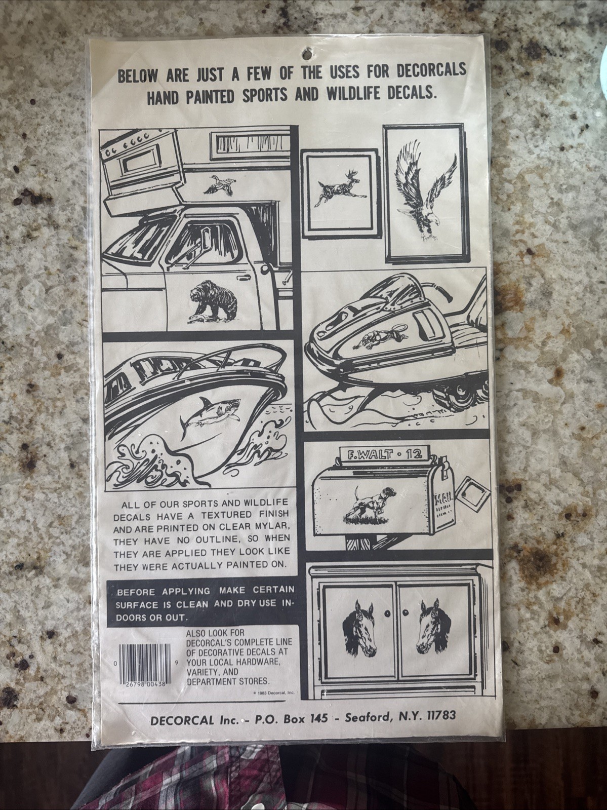 NOS 1986 Hand Painted Eagle Decals Stickers Sports & Wildlife Decorcal USA Made