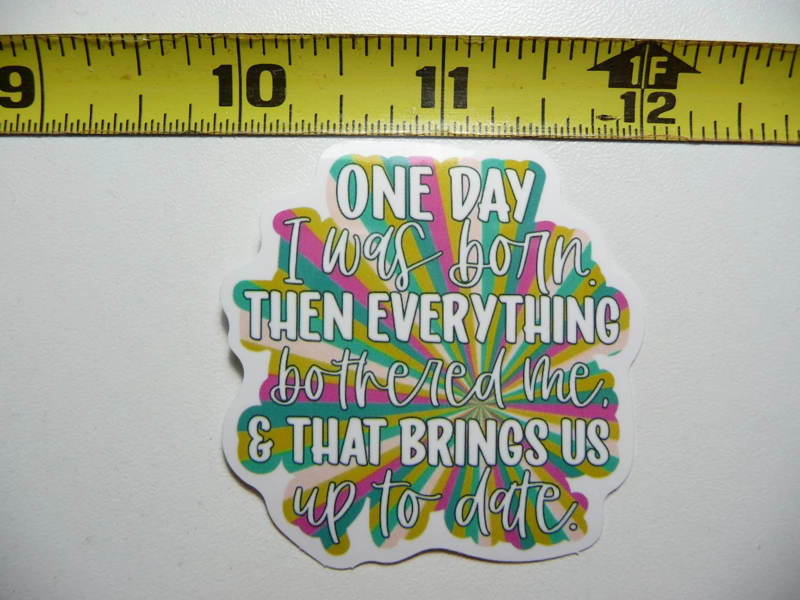 BORN EVERYTHING BOTHERED ME UP TO DATE SMALL STICKER DECAL FUNNY SAYING SNARKY