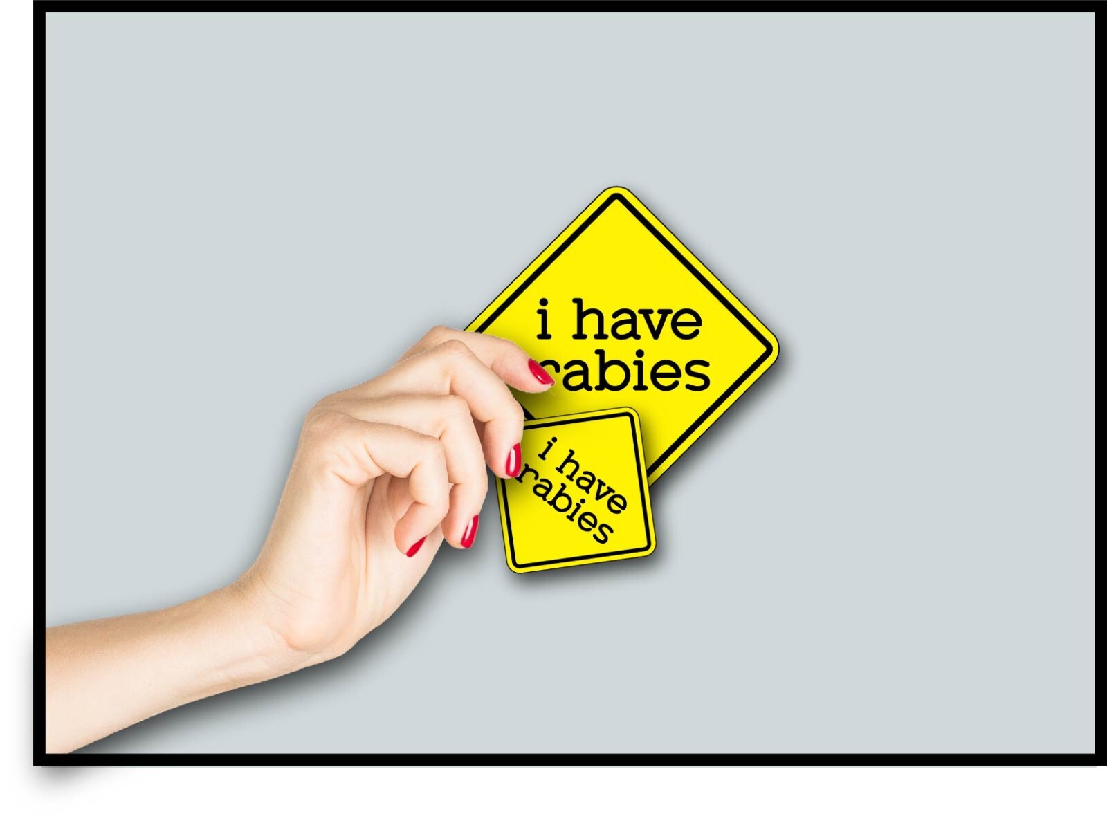 Caution i have rabies Decal Sticker Funny Wild Animal Crazy Humor Raccoon Trash