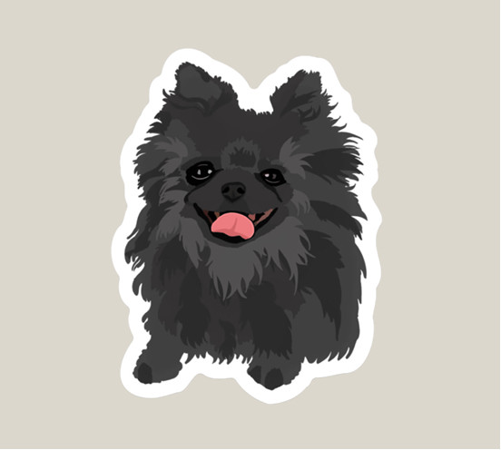 Pomeranian Black Gray Dog Sticker Water Bottle, Laptop, Phone, Dishwasher Safe