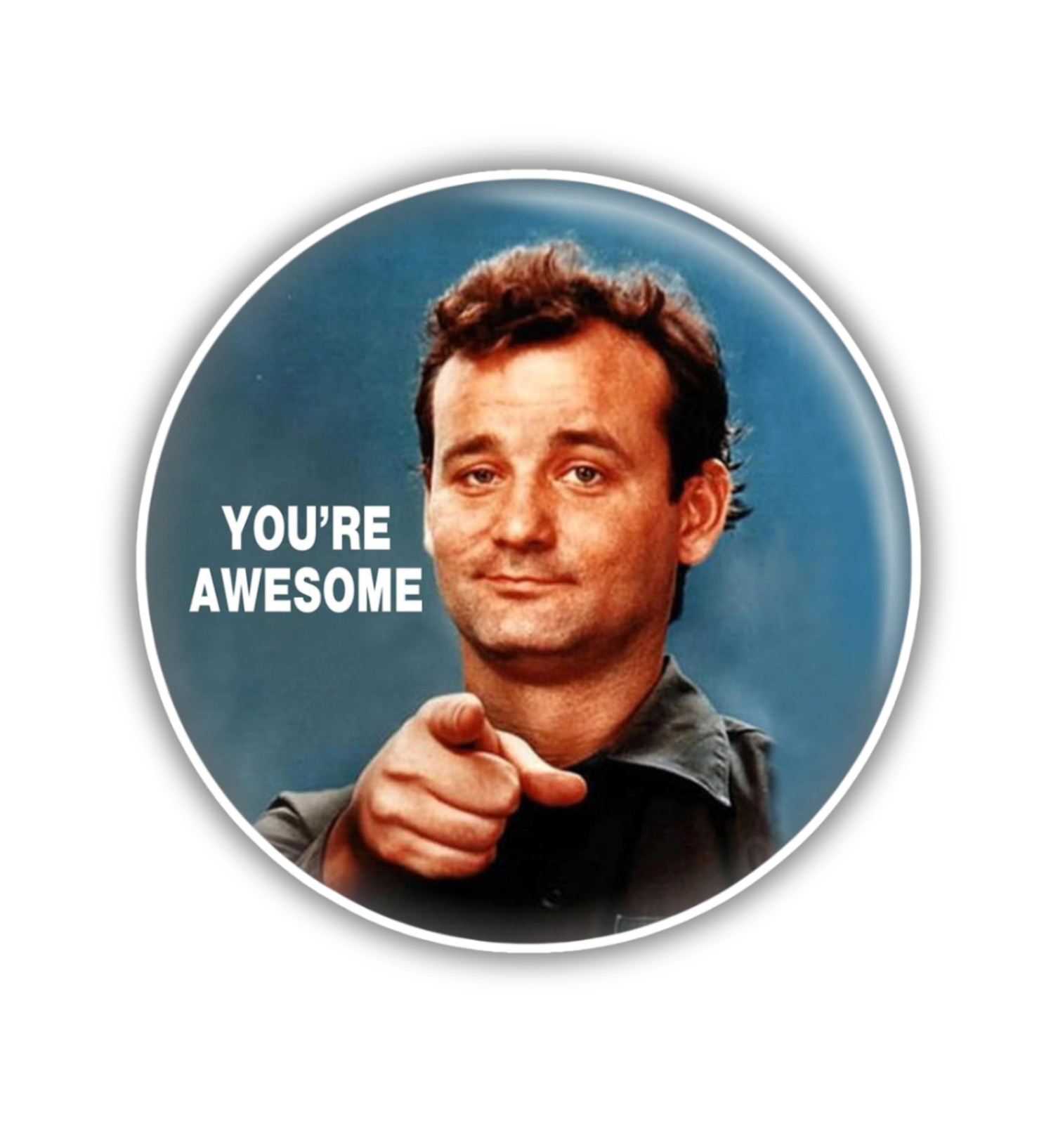Bill Murray You're Awesome Fridge Magnet or Laptop Sticker
