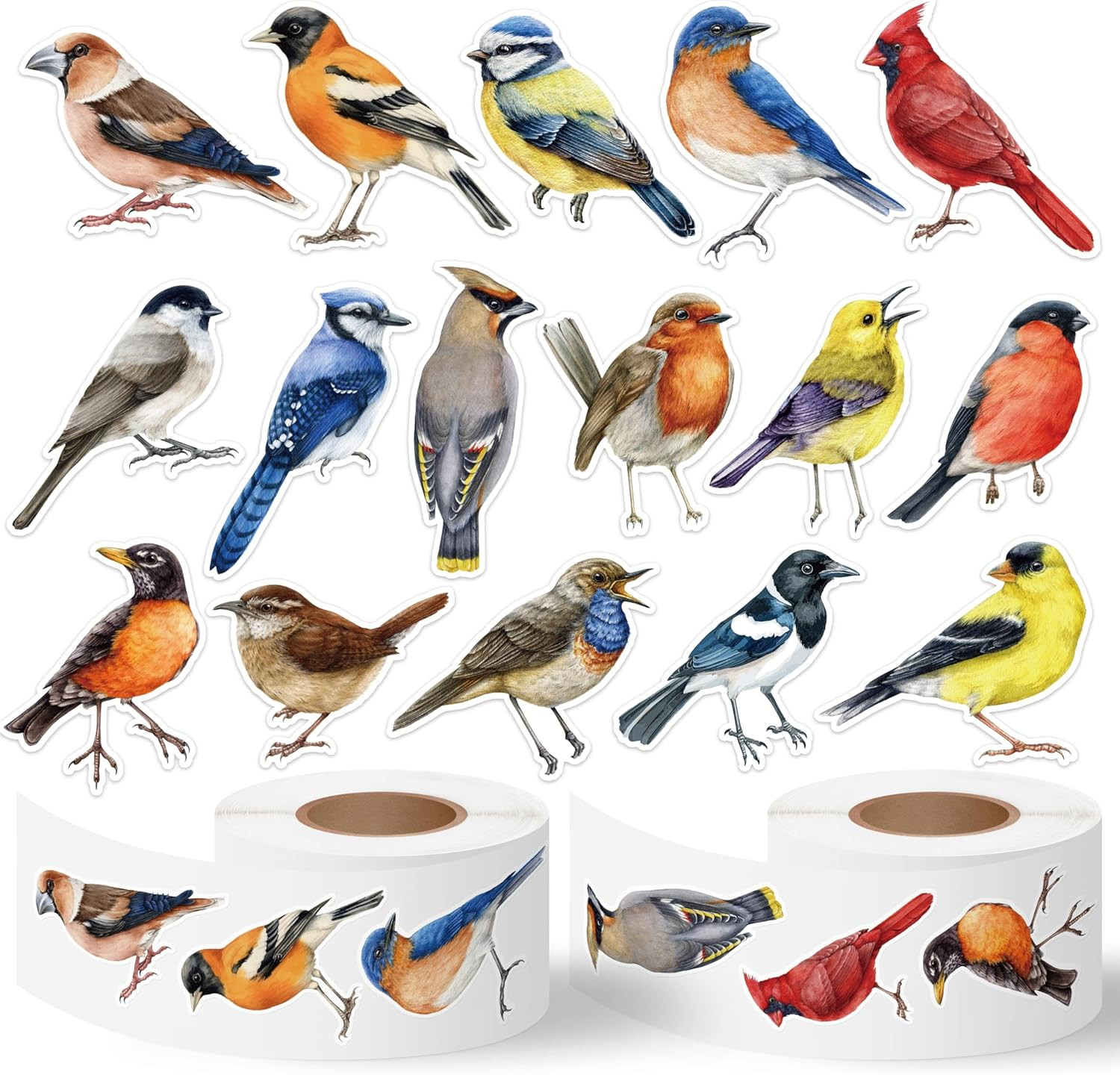 Watercolor Bird Sticker Rolls – 1000 Pcs Waterproof Vinyl Animal Stickers