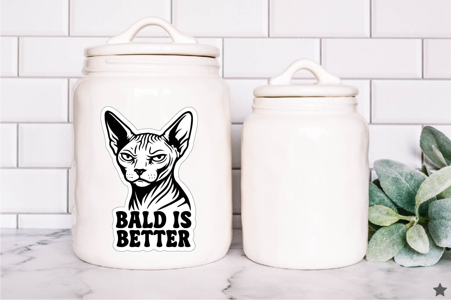 Sphynx Cat Decal Sticker Bald is Better Hairless Kitty Skin Meow Kids Gift Decor