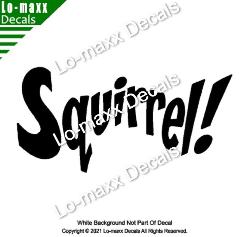 Squirrel! Funny Cute Original Custom Art High Performance Die Cut Vinyl Decal