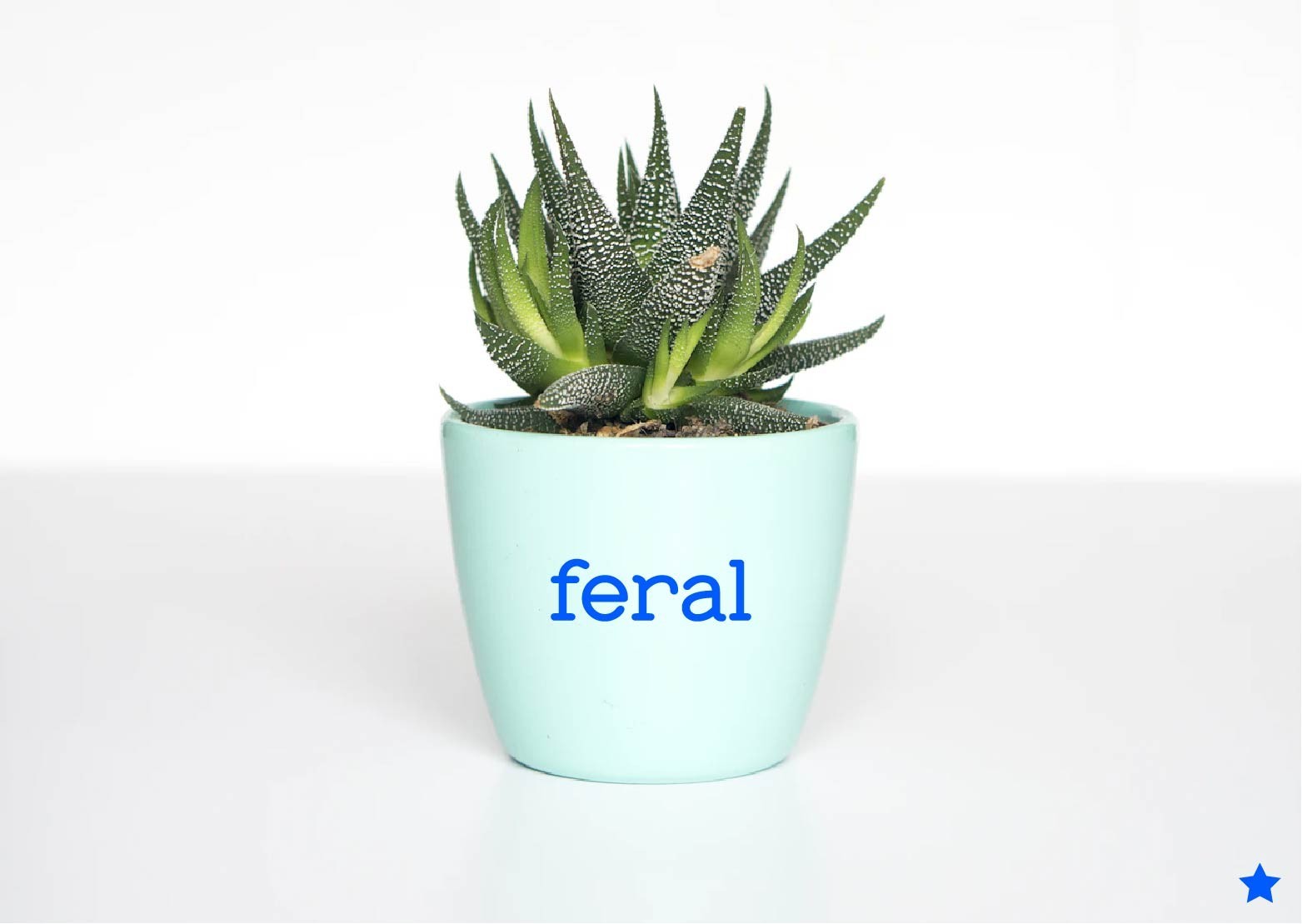Feral Decal Sticker Funny Out of Control Wild Adult Life Crazy Goth Emo Kid Teen