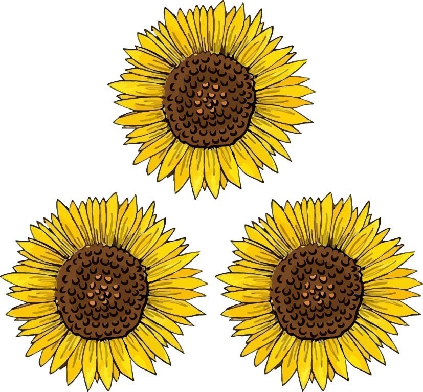 Garden Yellow Sunflower Floral Sticker 3 Pieces, Vinyl & Paper Material, Perfect