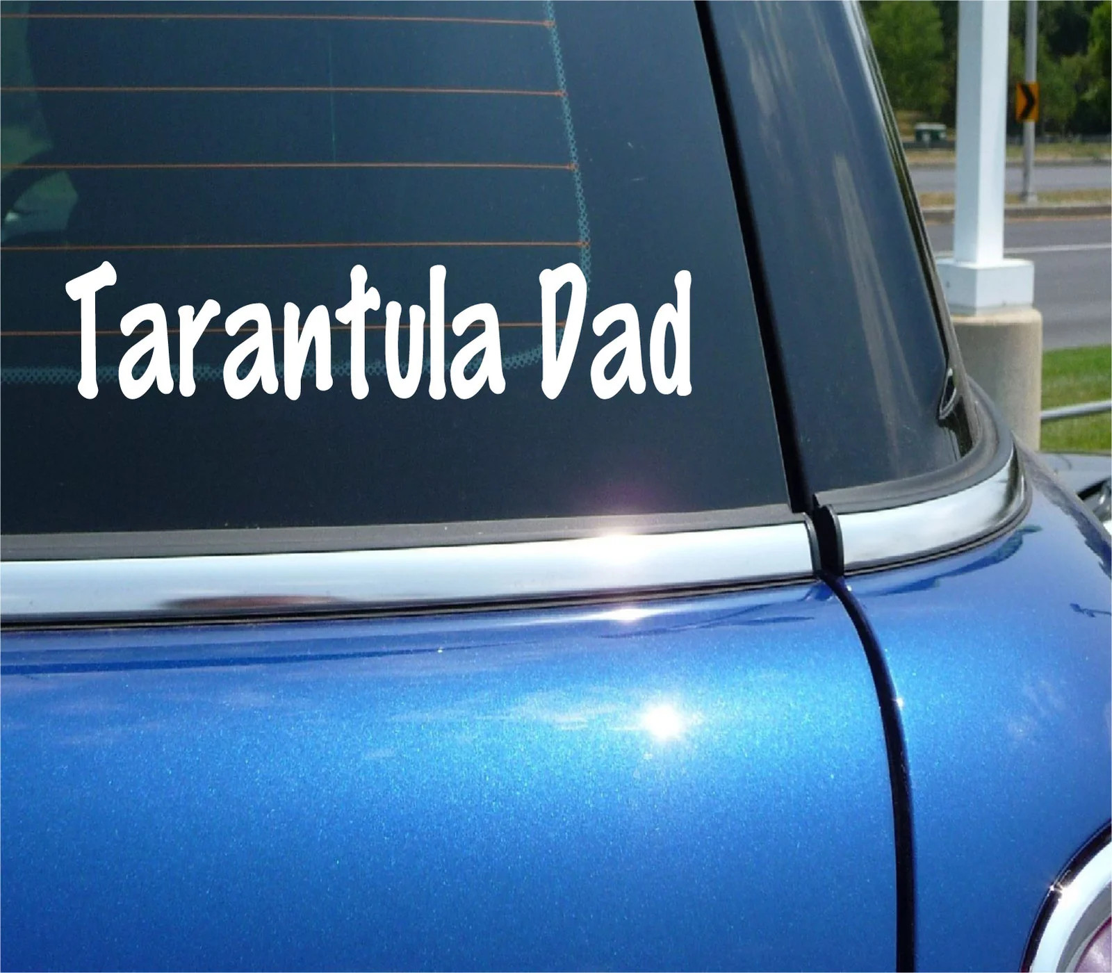 TARANTULA DAD PET SPIDER ARACHNID FAN DECAL STICKER FUNNY CAR TRUCK