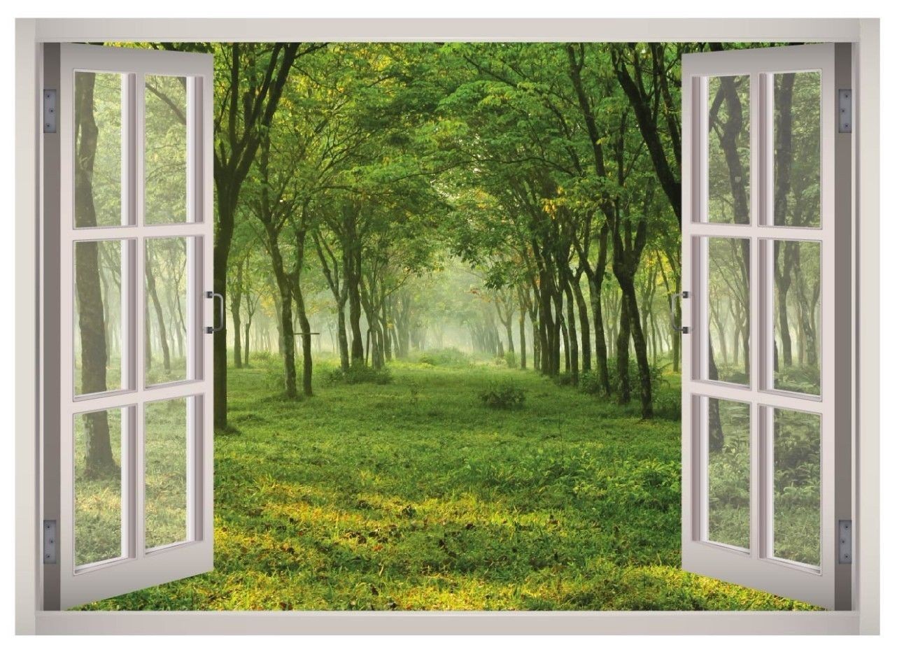 Green Forest Woods Window 3D Wall Decal Art Mural Home Decor Canvas Vinyl W62