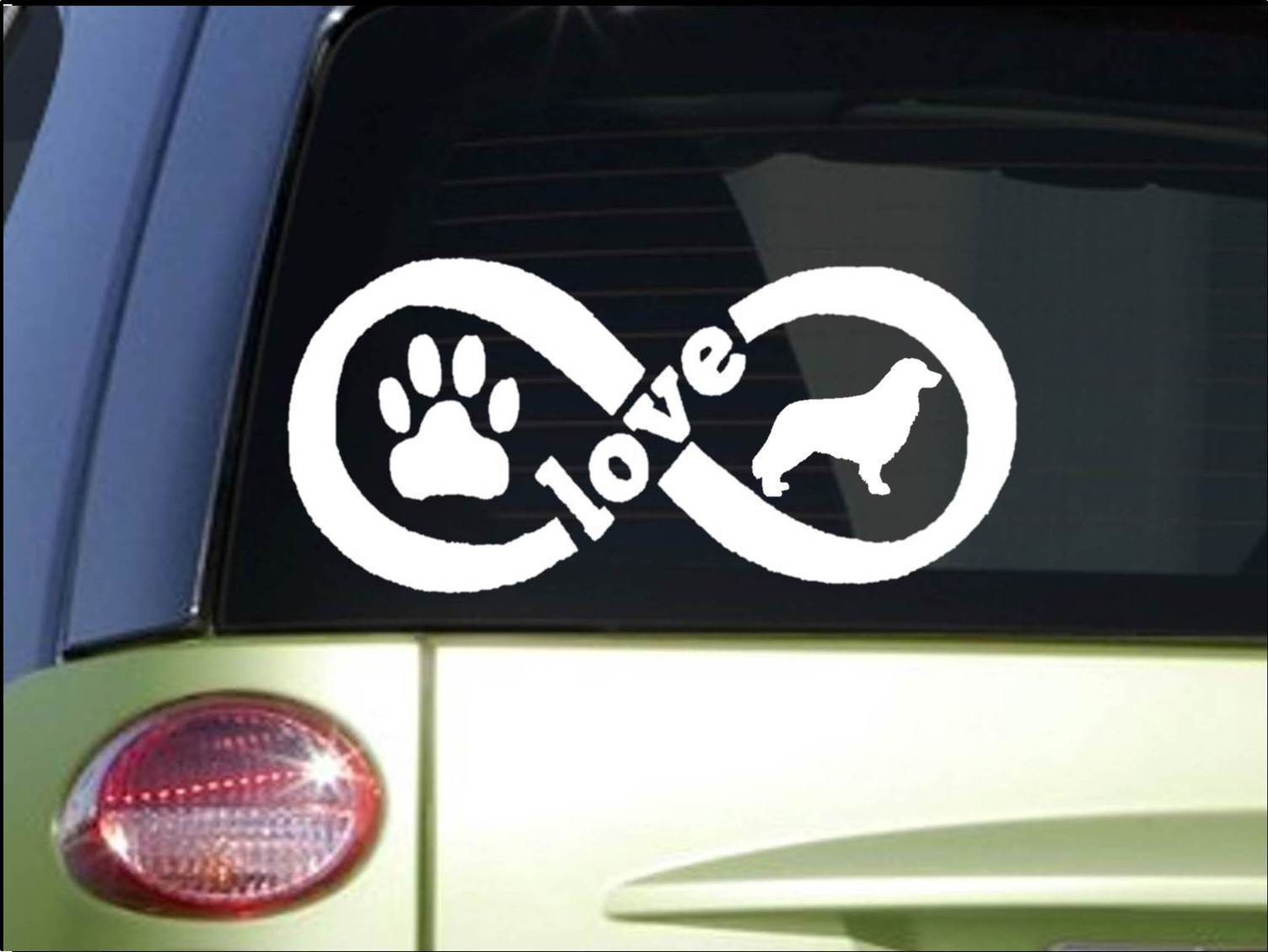Infinity Nova Scotia Duck Tolling Retriever *H953* 4×8.5" Sticker decal hunting