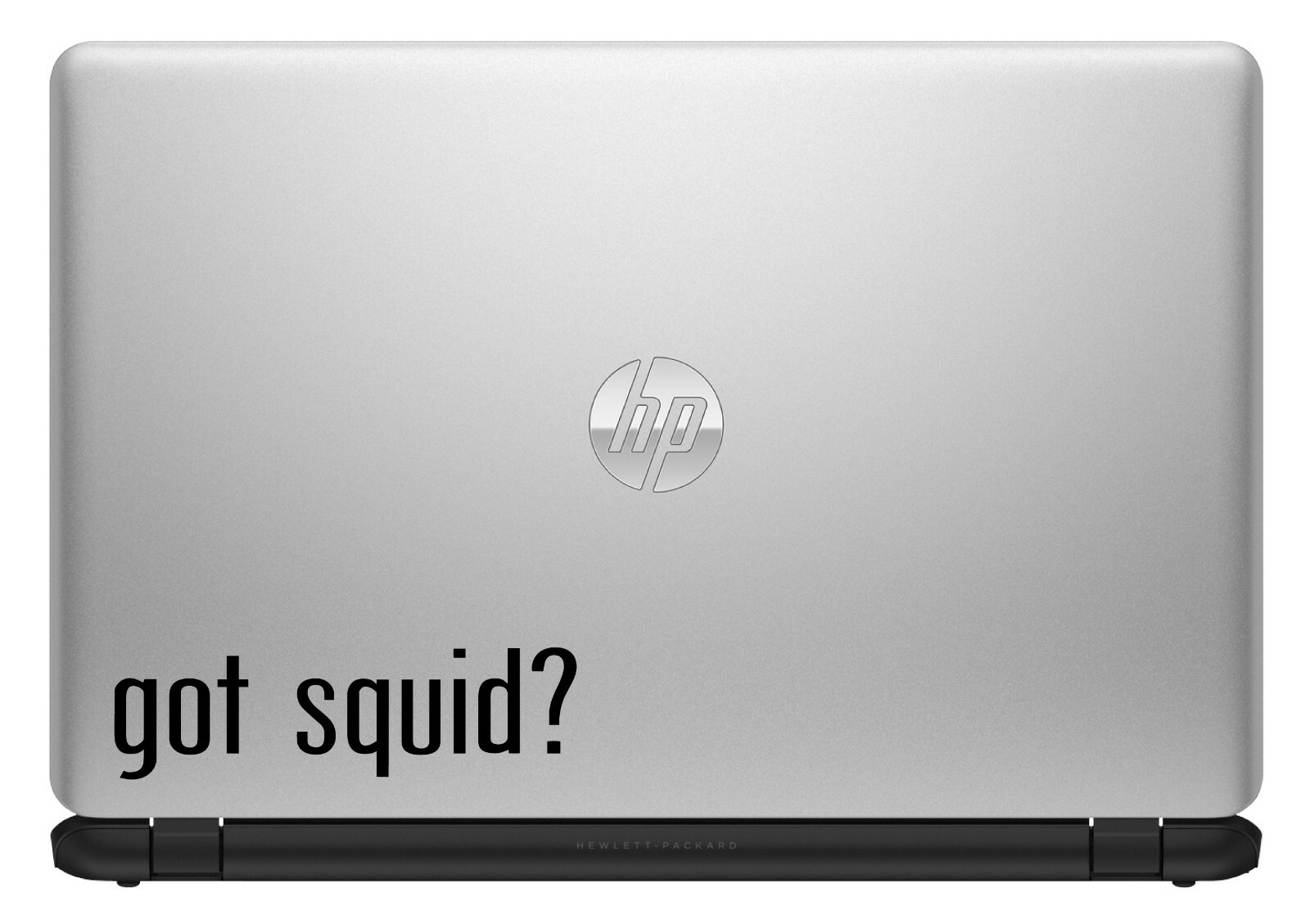 Got Squid? Custom Vinyl Sticker / Decal Calamari, Seafood, Cooking, Ocean