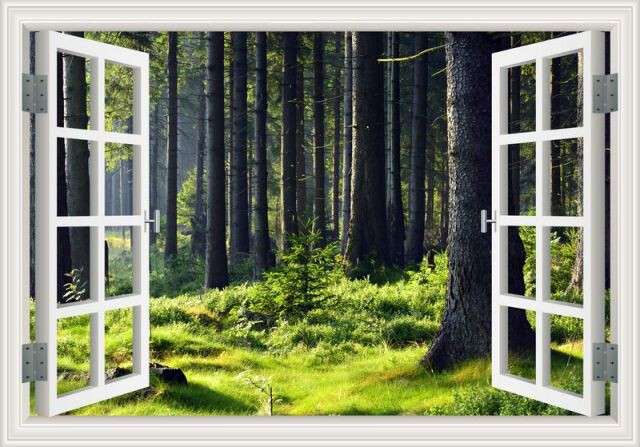 Seasonal 3D Window Removable Wall Sticker Forest View Mural Home Décor