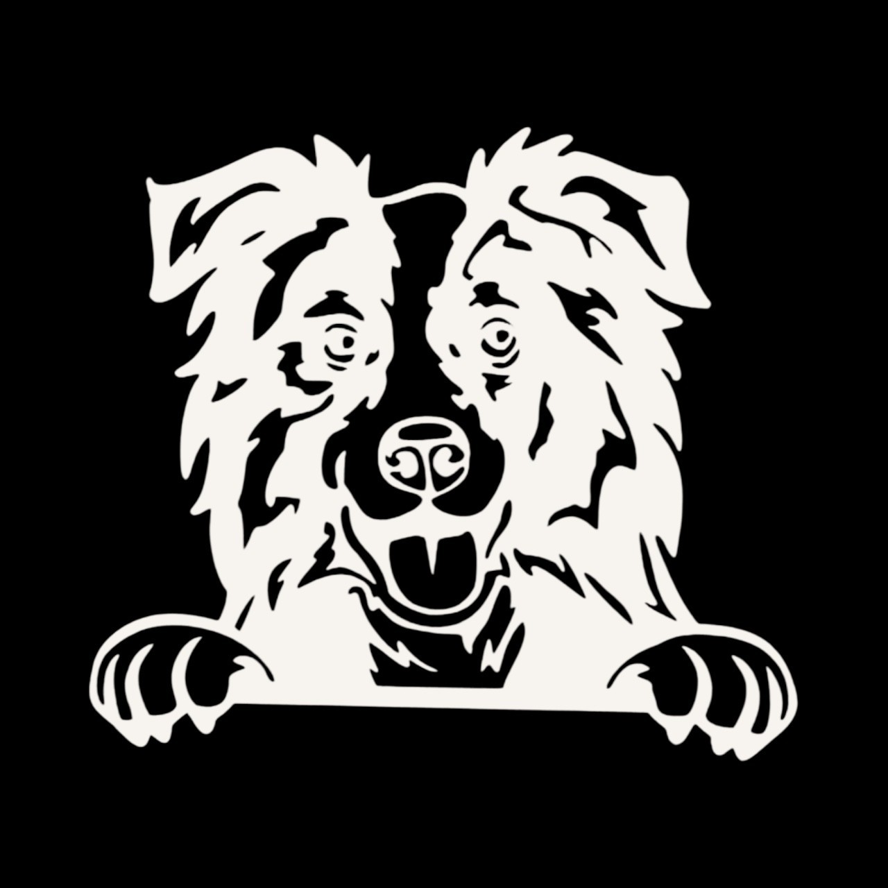 BORDER COLLIE Vinyl Decal for Jeep Car Truck Bumper Wall Window laptop