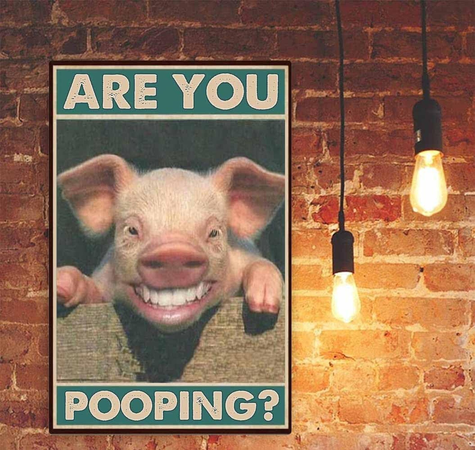 Funny Signs,Bathroom Decor Sign,Funny Bathroom Wall Art,Funny Home Decor,"Are…