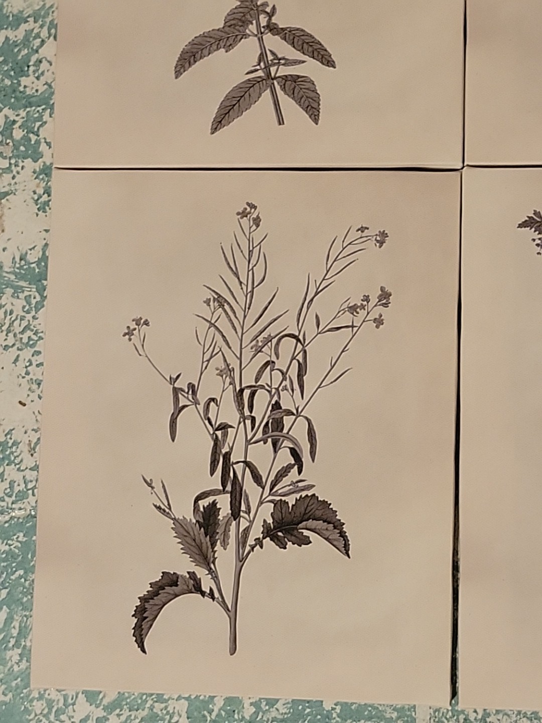 Set Of 4 8×10 Botanical Wall Art Plant Flower Prints Boho Floral Ready To Hang!