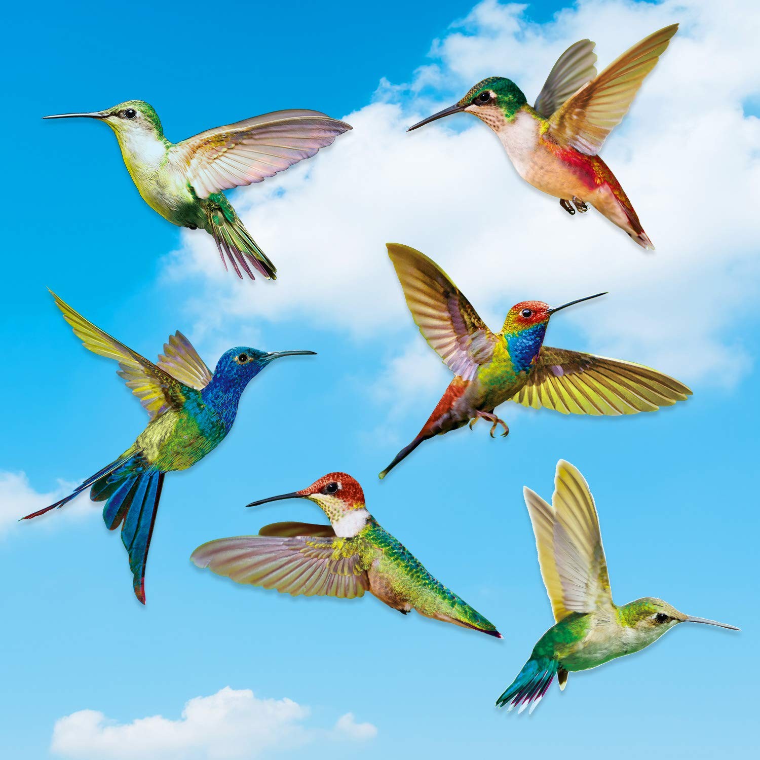 Blulu 6 Pieces Large Size Hummingbird Window Clings 6pcs, Multicoloured