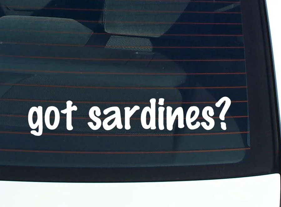 got sardines? CAR DECAL BUMPER STICKER VINYL FUNNY JOKE WINDOW