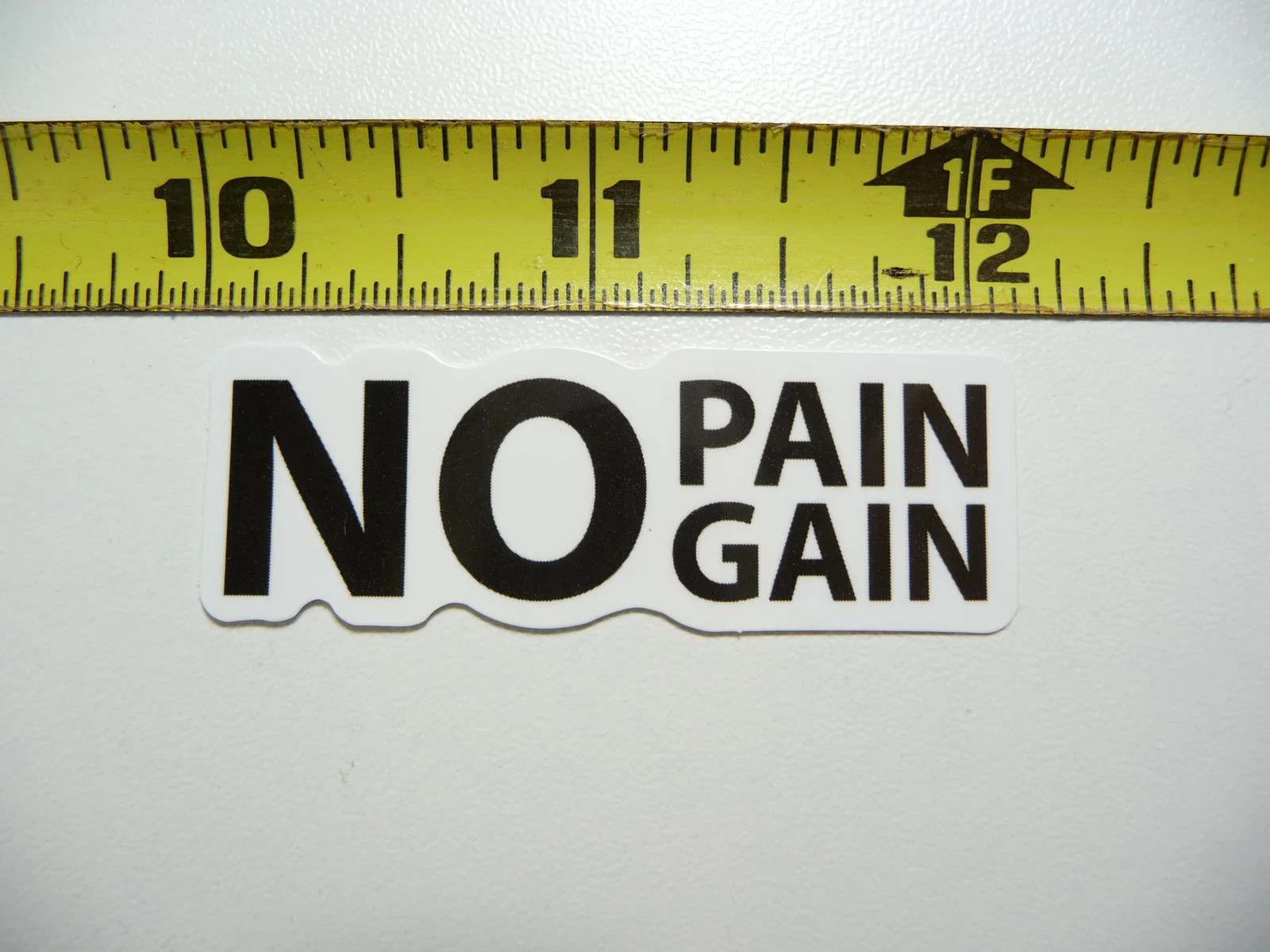 NO PAIN GAIN SMALL STICKER DECAL FITNESS EXERCISE WEIGHTLIFTING FUNNY