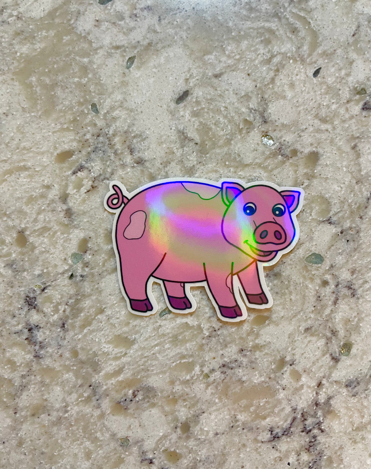 Pig Sticker l Gloss or Holographic Laminate l Waterproof Decal