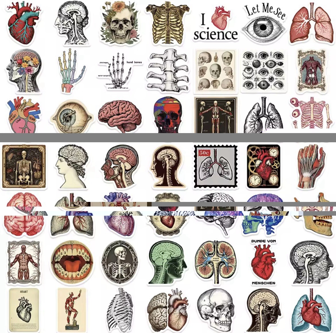 Body Parts Anatomy Style Stickers 50pk Mix Matte Finish Stickers FREE SHIPPING