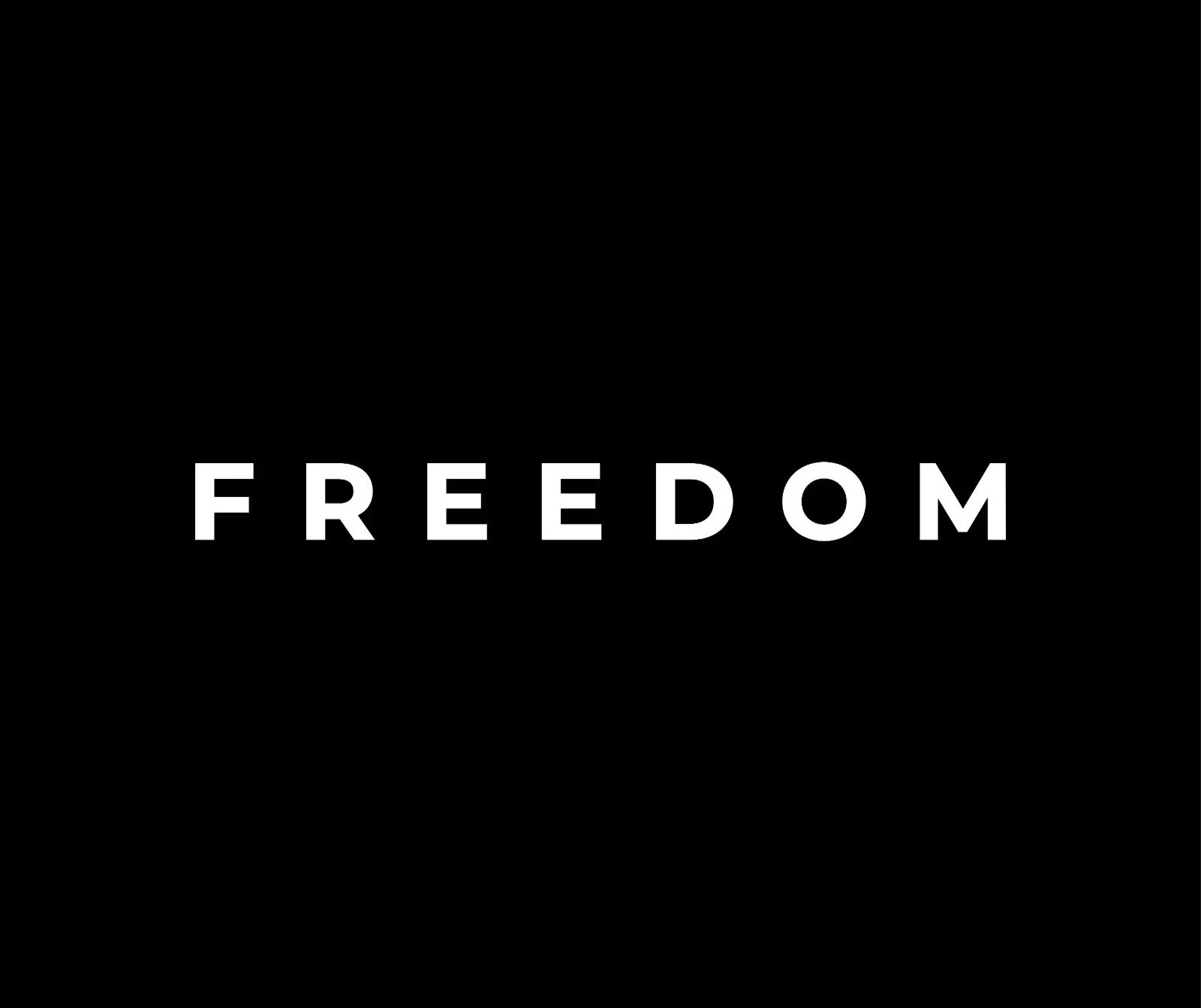 FREEDOM Vinyl Decal Sticker – Die Cut weatherproof – Charlie Kirk Patriotism USA