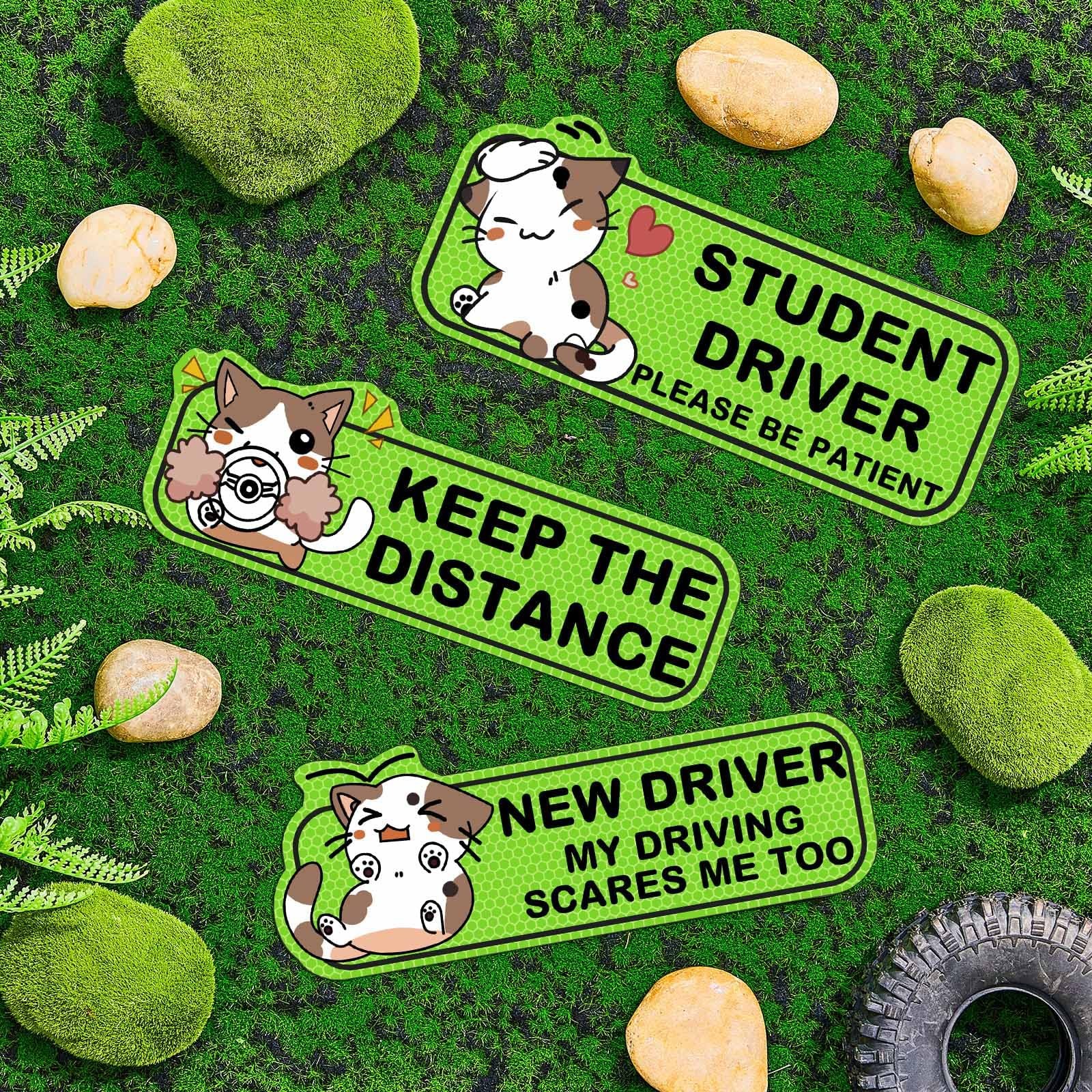 Large Green Cat Pattern Student Driver Magnets Set Of 3 Easy To Use Reflective
