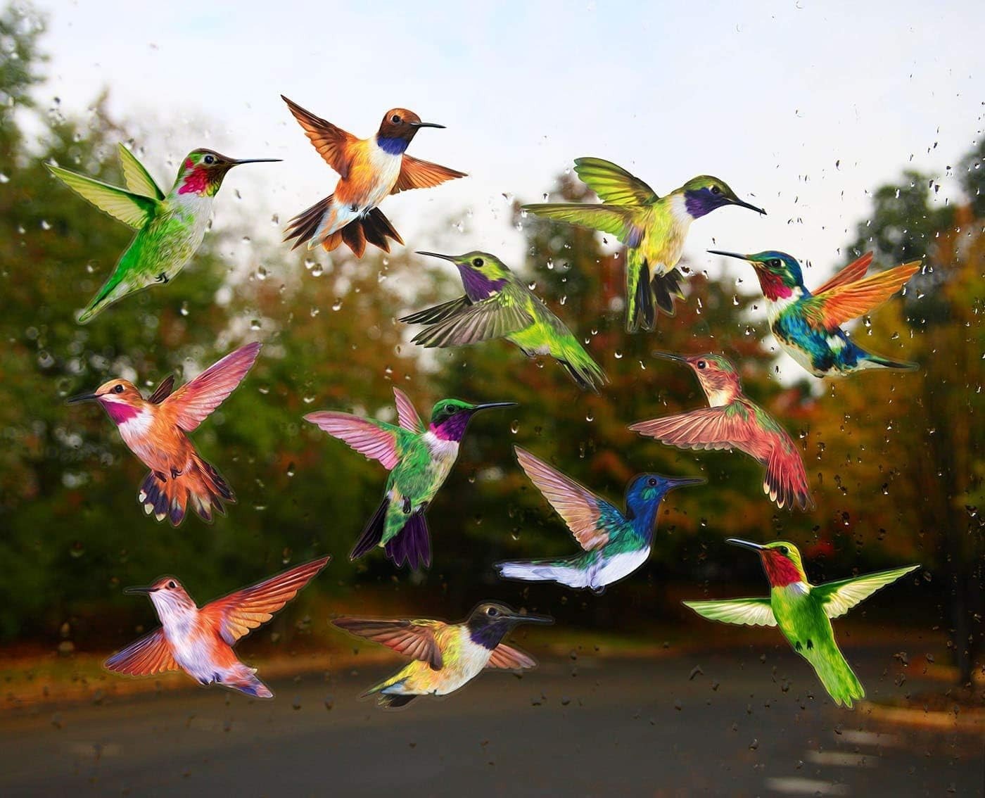 Gorgeous Hummingbird Window Clings – 12 Pack UV Resistant and Easy to Apply