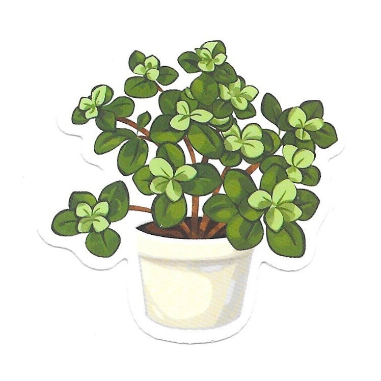 Vinyl Sticker Die Cut Jade Plant Decal Succulent Cute Journal Scrapbook Laptop