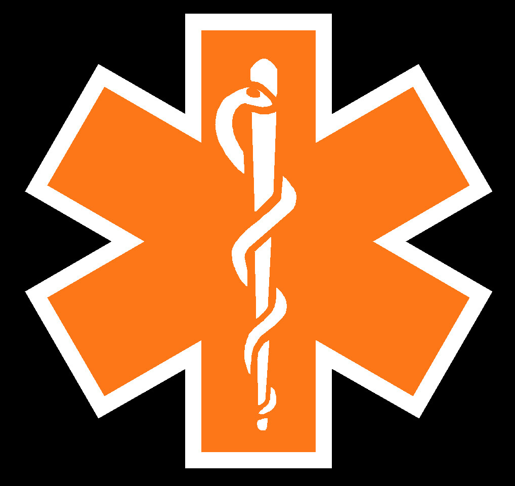 Orange Reflective Vinyl Star Of Life Car or Fire Helmet Decal EMT multiple sizes