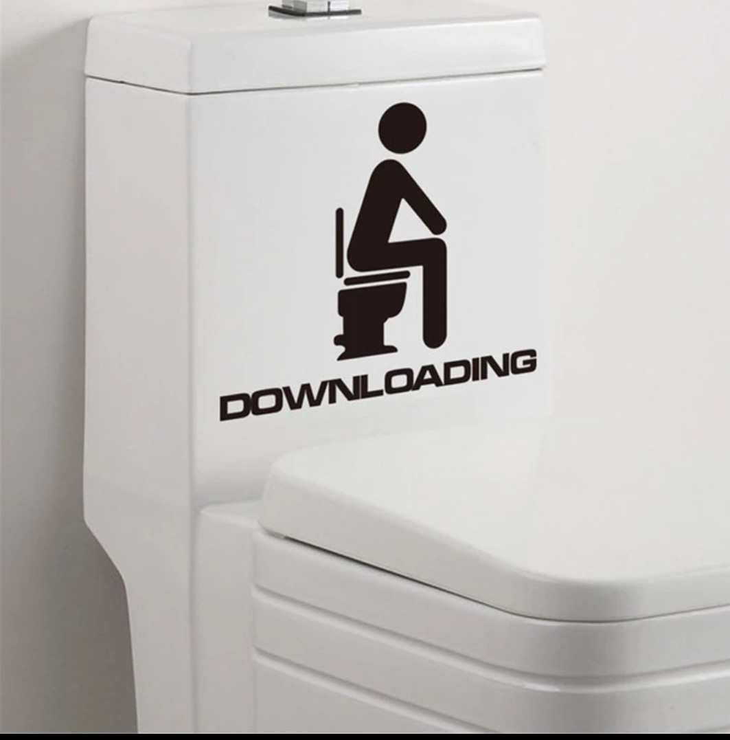 DOWNLOADING Toilet vinyl removeable decal sticker bathroom