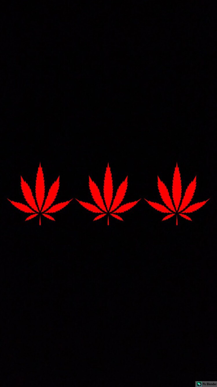 MARIJUANA POT LEAF Wholesale Lot 3 Vinyl Decal Stickers Window Bumper 3.5”