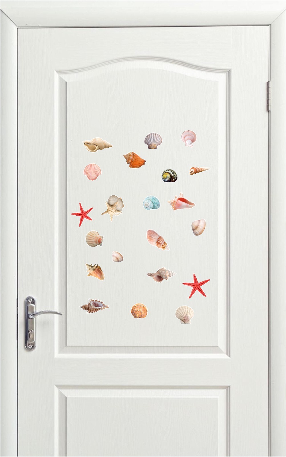 Seashells Realistic detailed sticker Beach theme Paradise colorful 24 Stickers