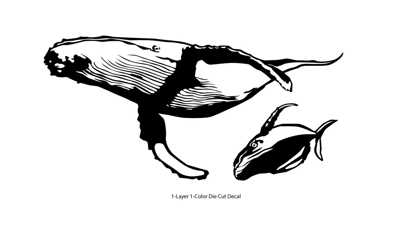Sea life – Ocean Gray Whale 1 Outdoor Window Decal Vinyl Sticker 6Yrs Film