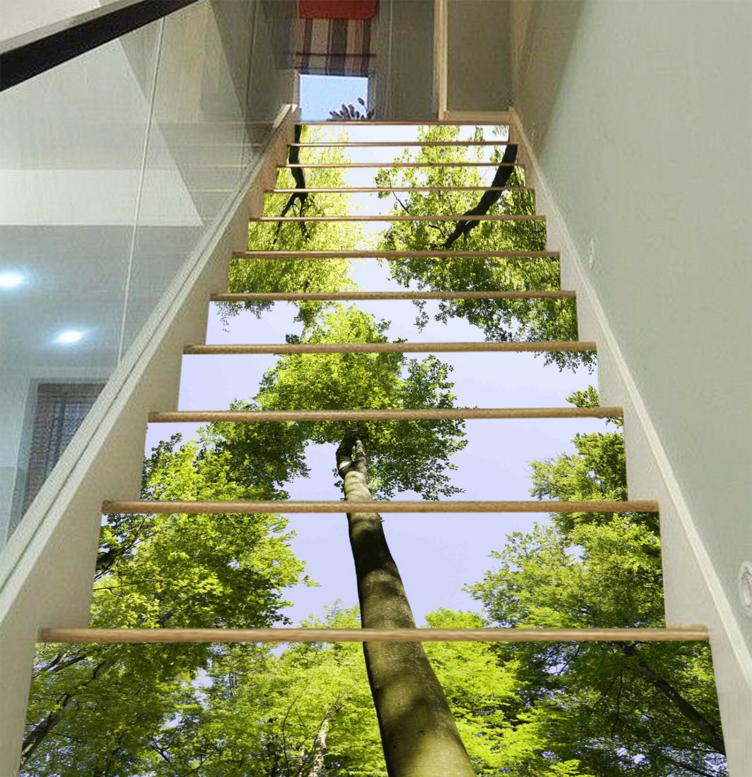 3D Sky Woods 977NA Stair Risers Decoration Photo Mural Decal Wallpaper Fay