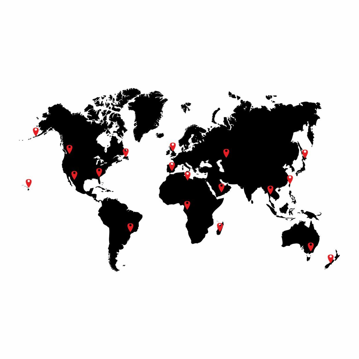 World Map Vinyl Wall Decal Sticker. Includes Location Pins. Office Wall Map #873