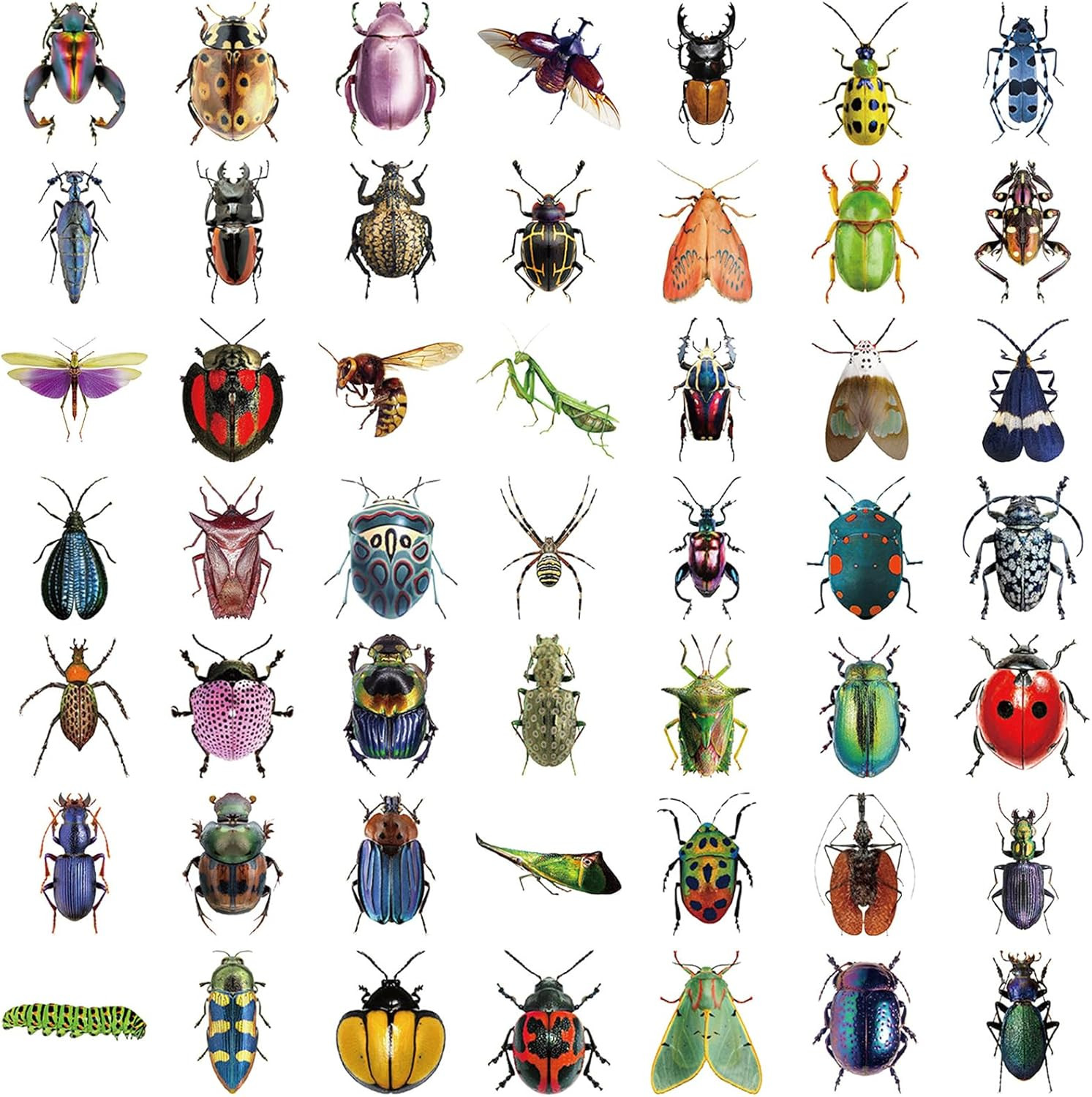 50PCS Insect Stickers PET Transparent Stickers Lifelike Nature World Decals Wate