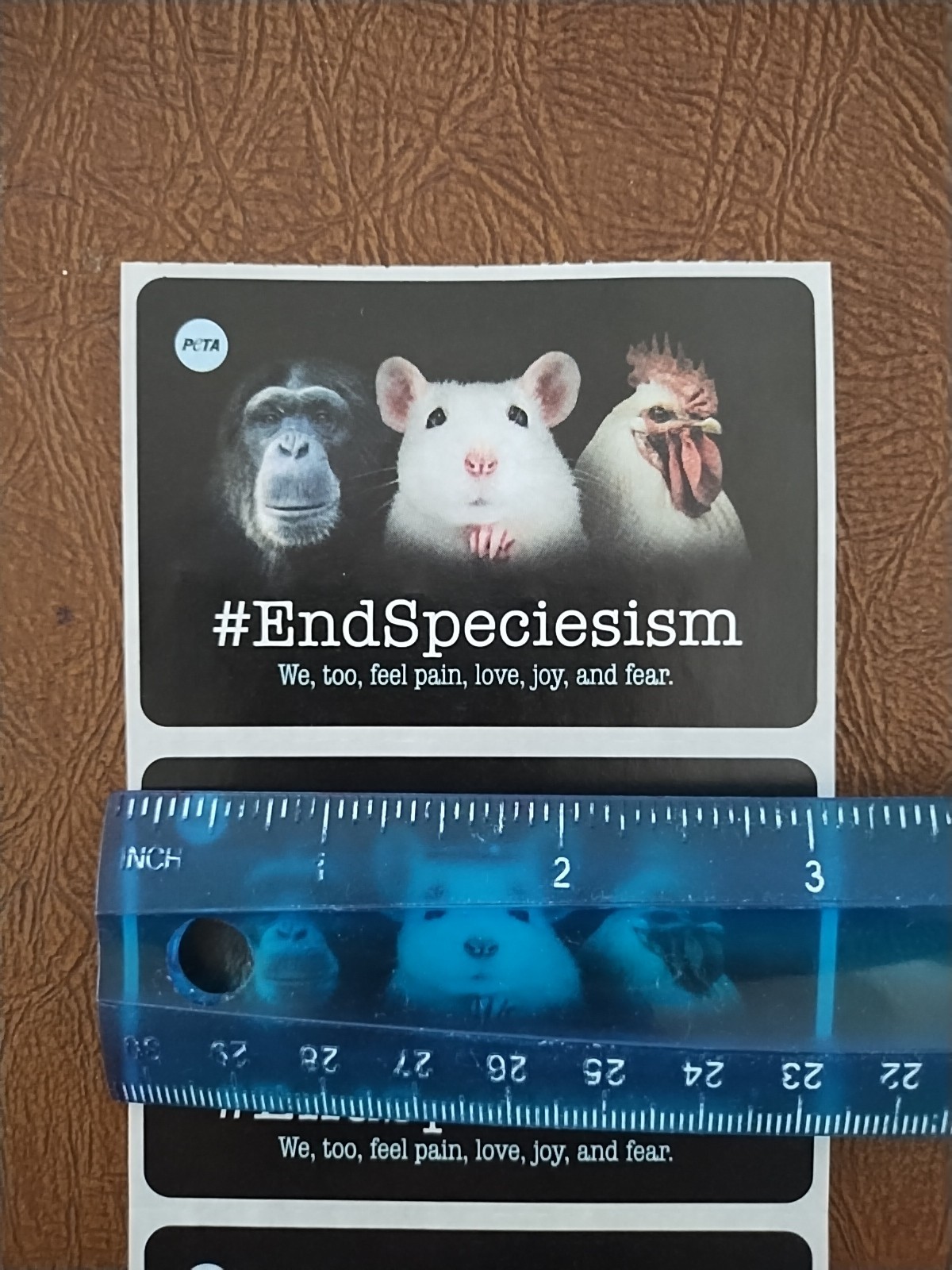 1 Sheet with 5 PeTA Stickers: #EndSpeciesism.We,too,feel pain. Each Size 3"x 2"