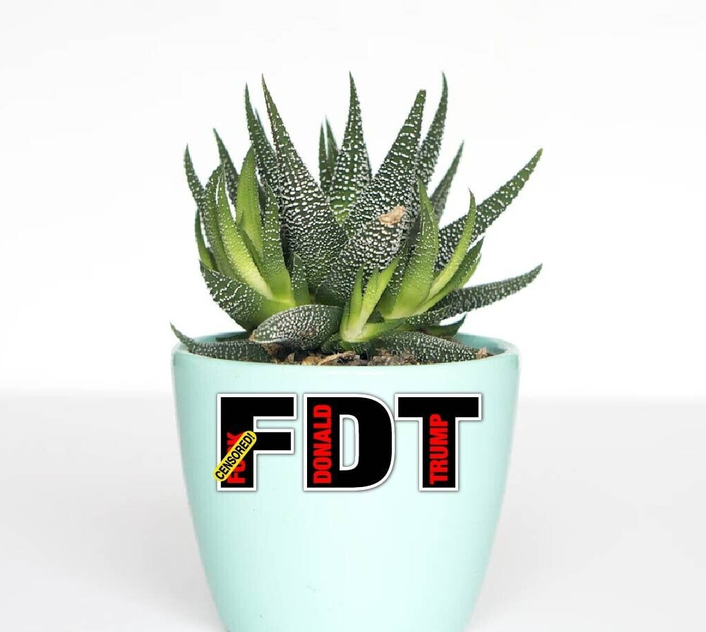 FDT F*** Donald Trump Decal Sticker Printed Die Cut Anti MAGA Vance Pro Democrat