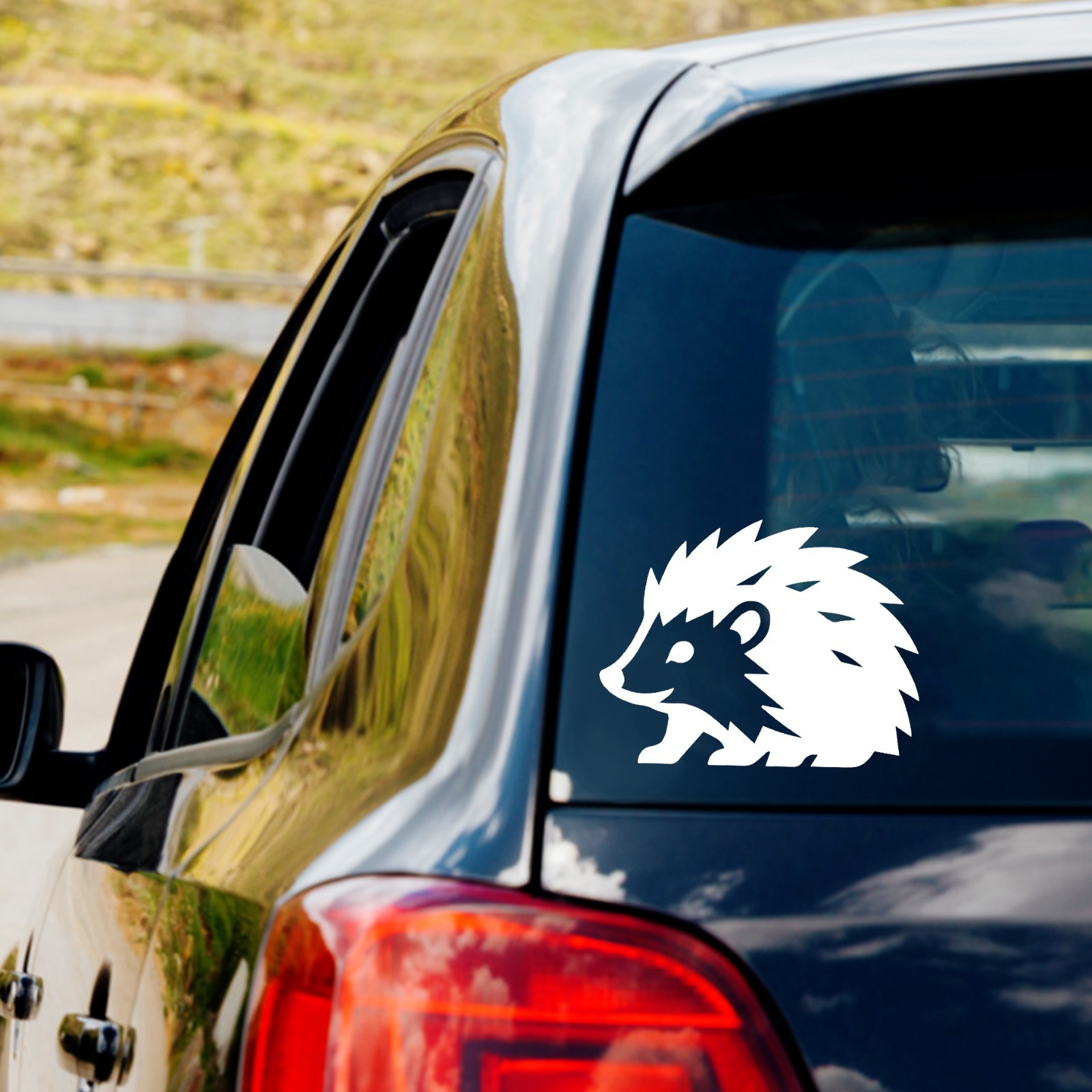 Cute Hedgehog Vinyl Decal Sticker Car Truck Window Laptop