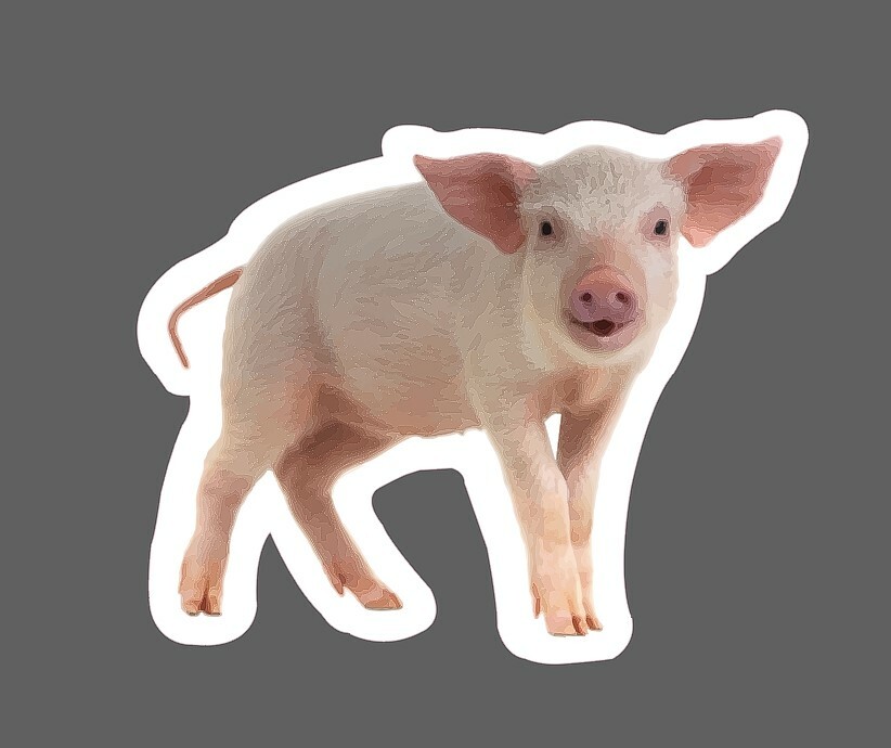 Baby Pig Sticker Realistic Waterproof – Buy Any 4 For $1.75 Each Storewide!
