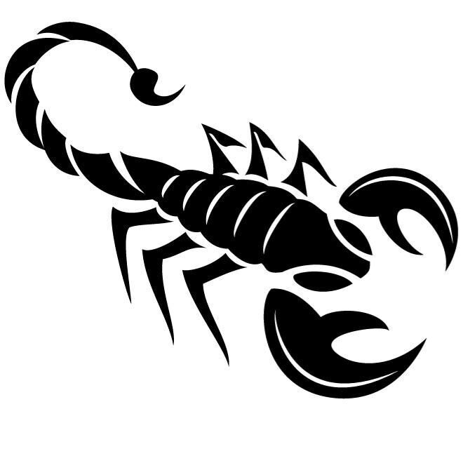 6.5" X 4.5" Scorpion Vinyl Decal Sticker for Car Bumper Truck Home Window Wall