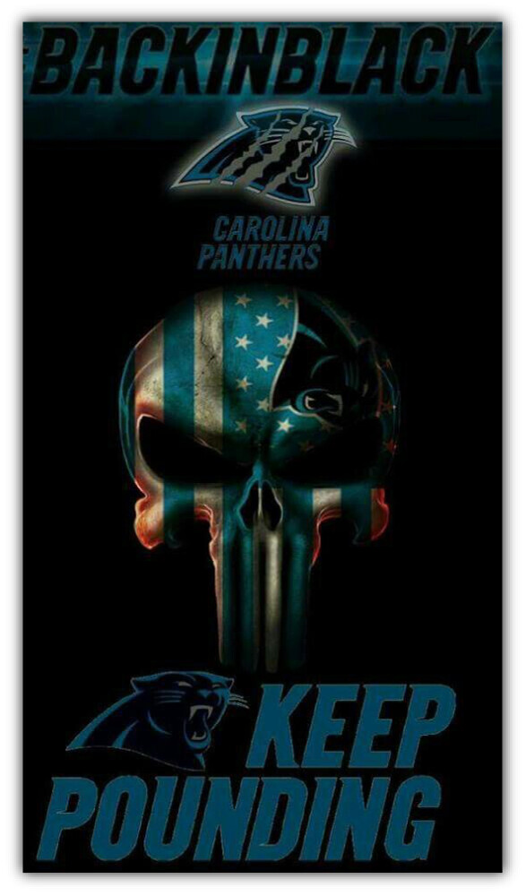 Carolina Panthers Football Logo NFL Sport Car Bumper Sticker Decal "SIZES"