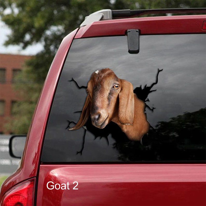 LARGE-SIZED CAR DECALS – GOAT – 3 CHOICES
