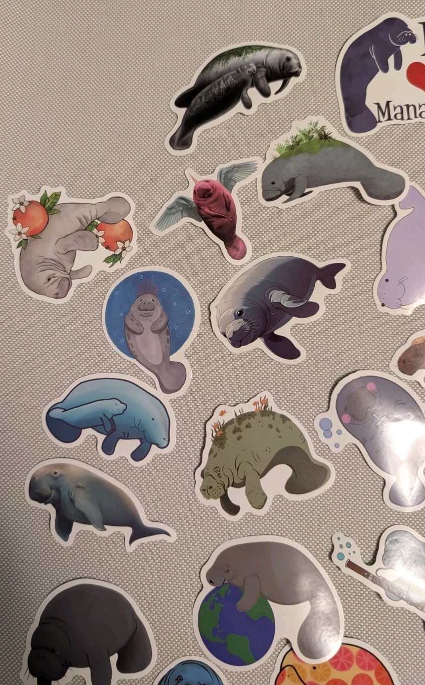 MYSTERY MIXED LOT OF 10 MANATEE GRAPHIC DECAL STICKER ART CAR WALL LAPTOP DECOR