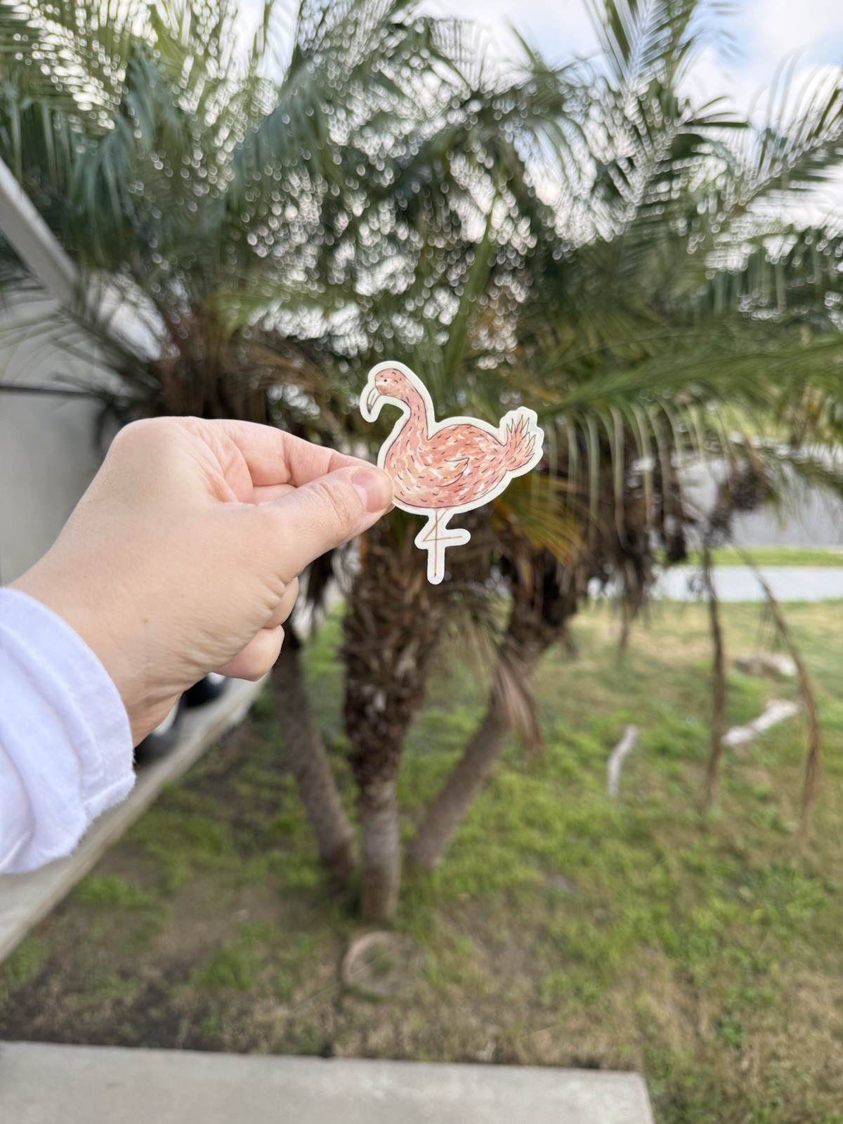 Flamingo Pink Vinyl Sticker Decorative Novelty Bird by WarPaint.jj