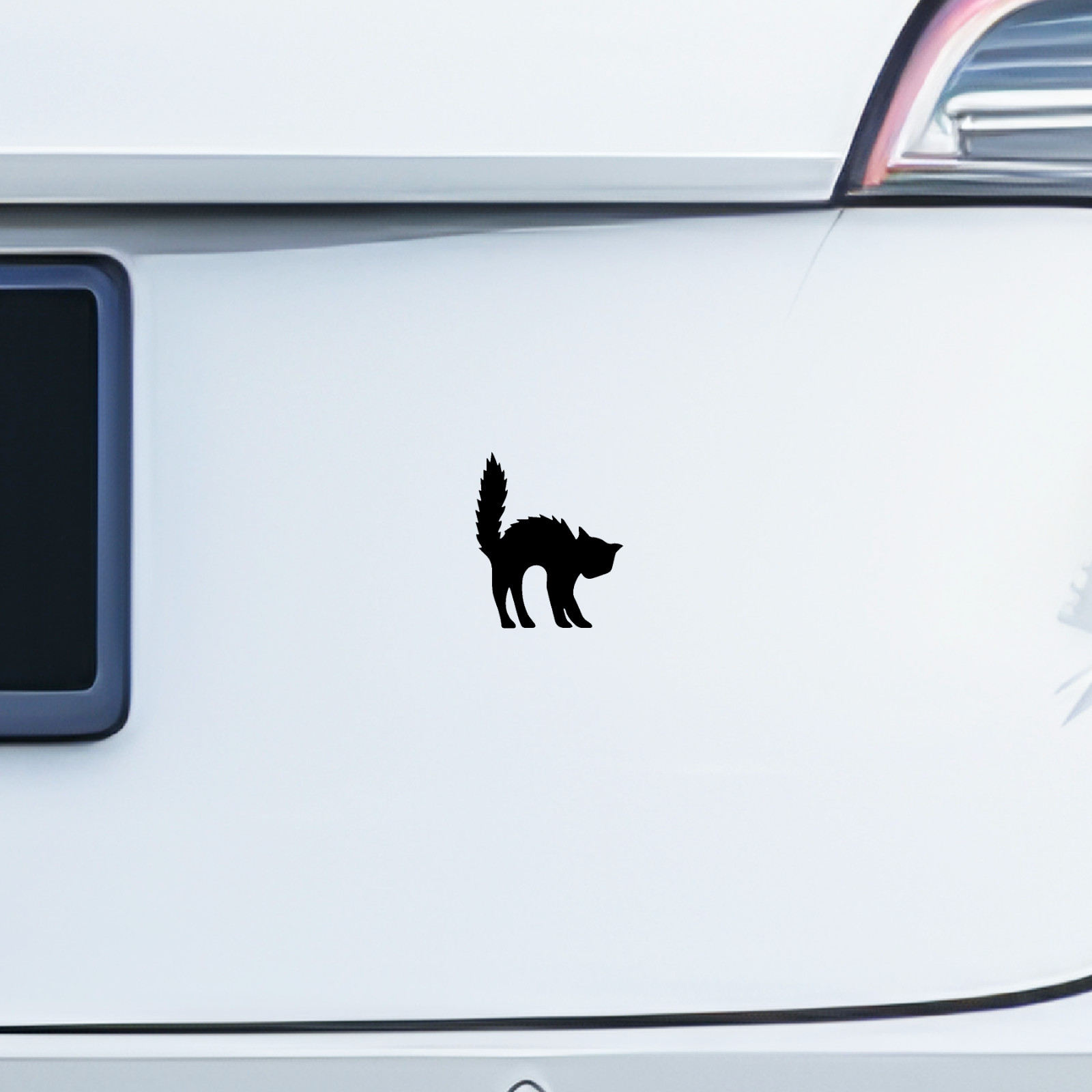 Scared Black Cat Vinyl Stickers – 6 Pack Halloween Decals, Waterproof, Permanent