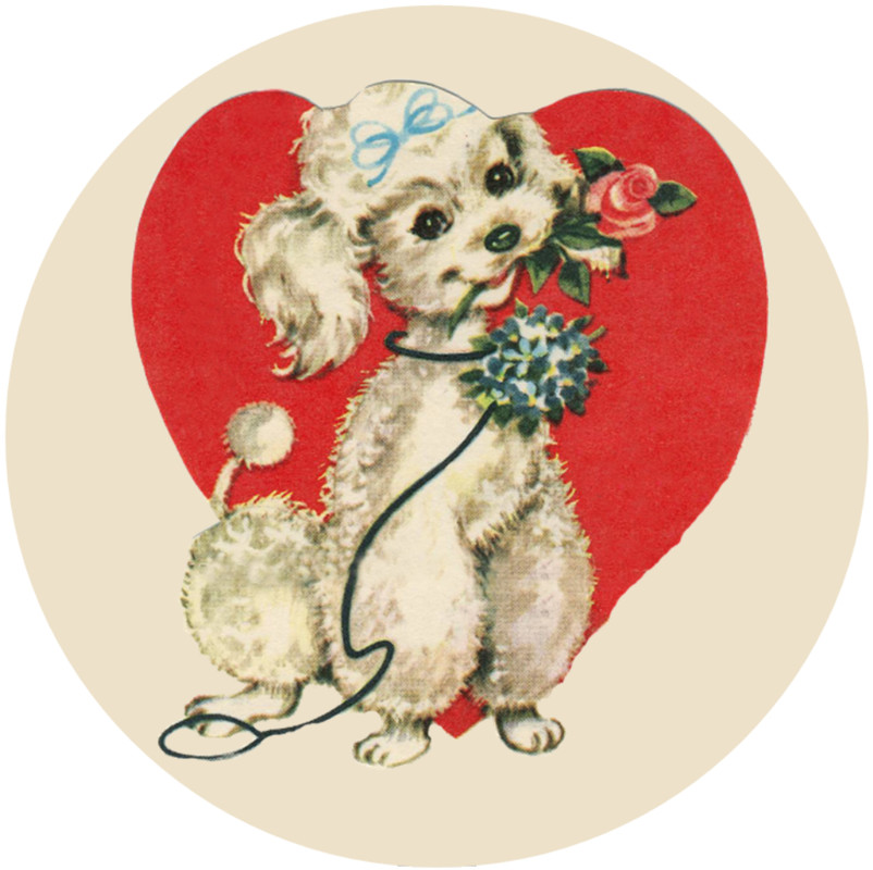 Vintage Poodle with Roses Heart Valentine's – Circle Sticker Decal 3" x 3"